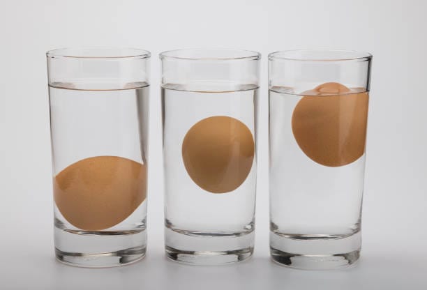 Tres posiciones de un huevo en un vaso con agua: hundido, de pie y flotando