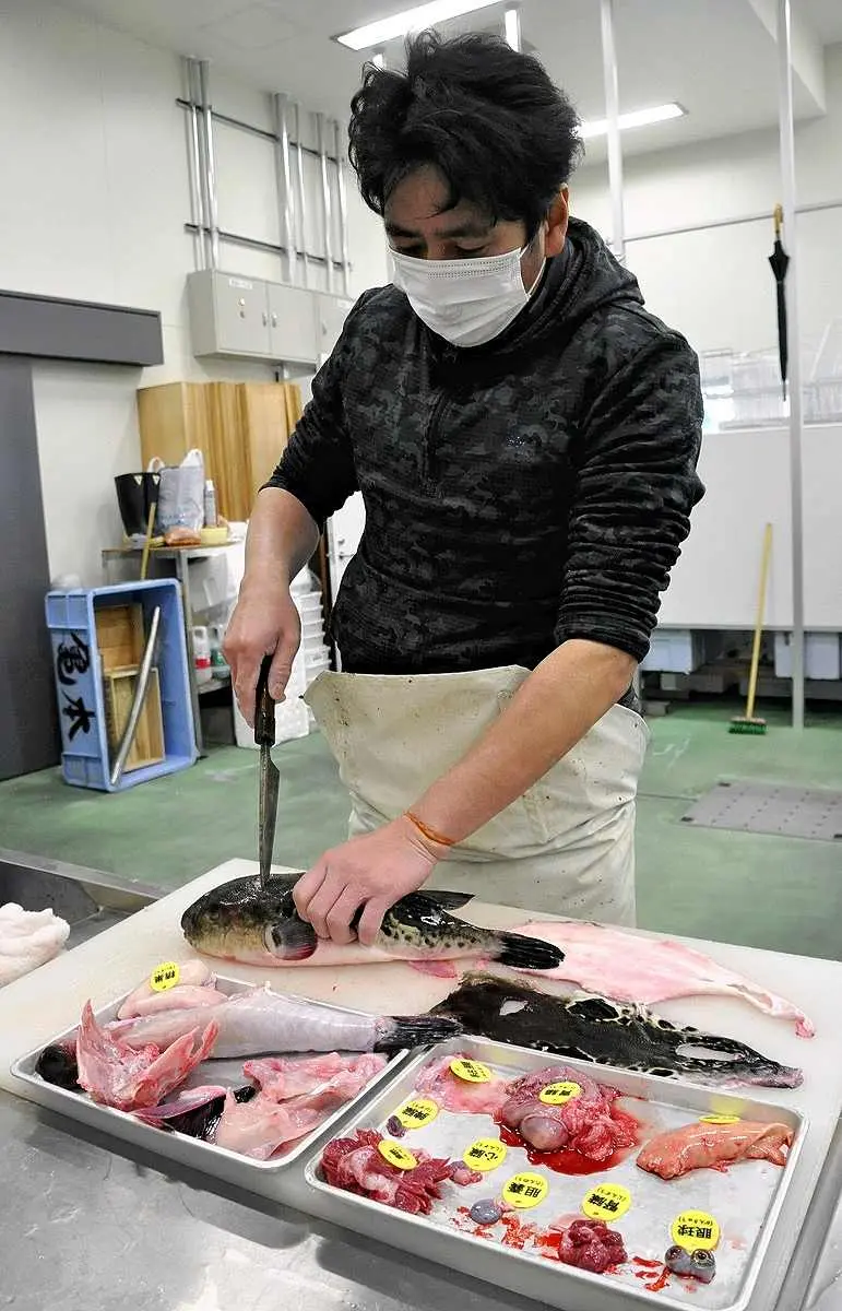 Chef japonés cortando Fugu con extrema precisión
