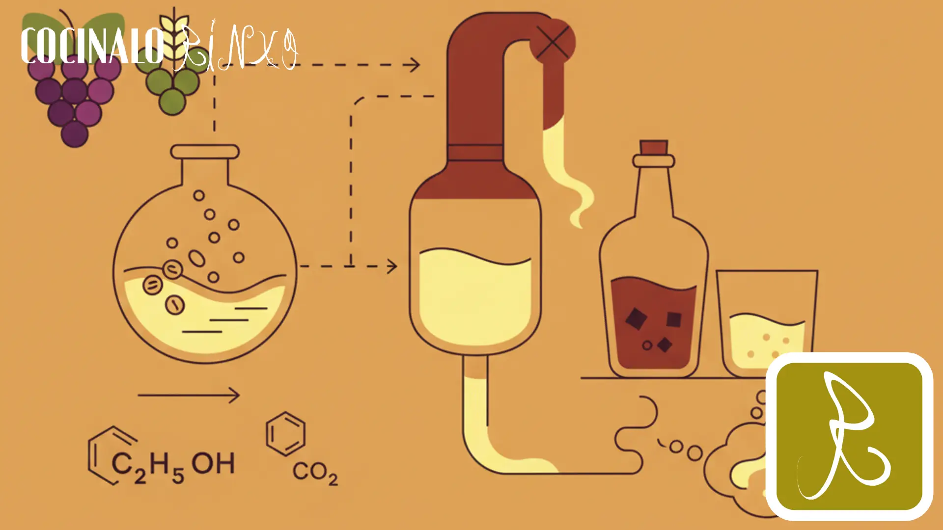 De Dónde Viene Realmente el Alcohol